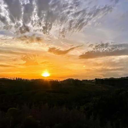 Ky481 Im Panoramichohegeiß * Braunlage