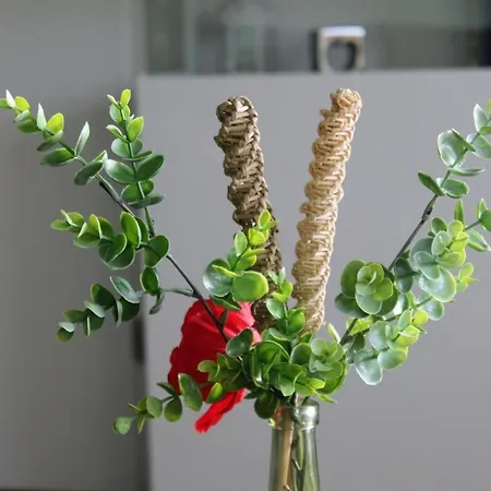 Ky481 Im Panoramichohegeiß Braunlage