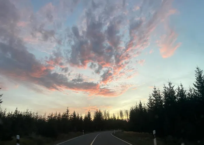 Ky481 Im Panoramichohegeiss Apartman *