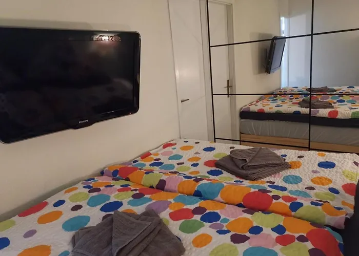 Ky481 Im Panoramichohegeiss Braunlage